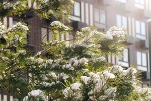 ЖК Никольские луга