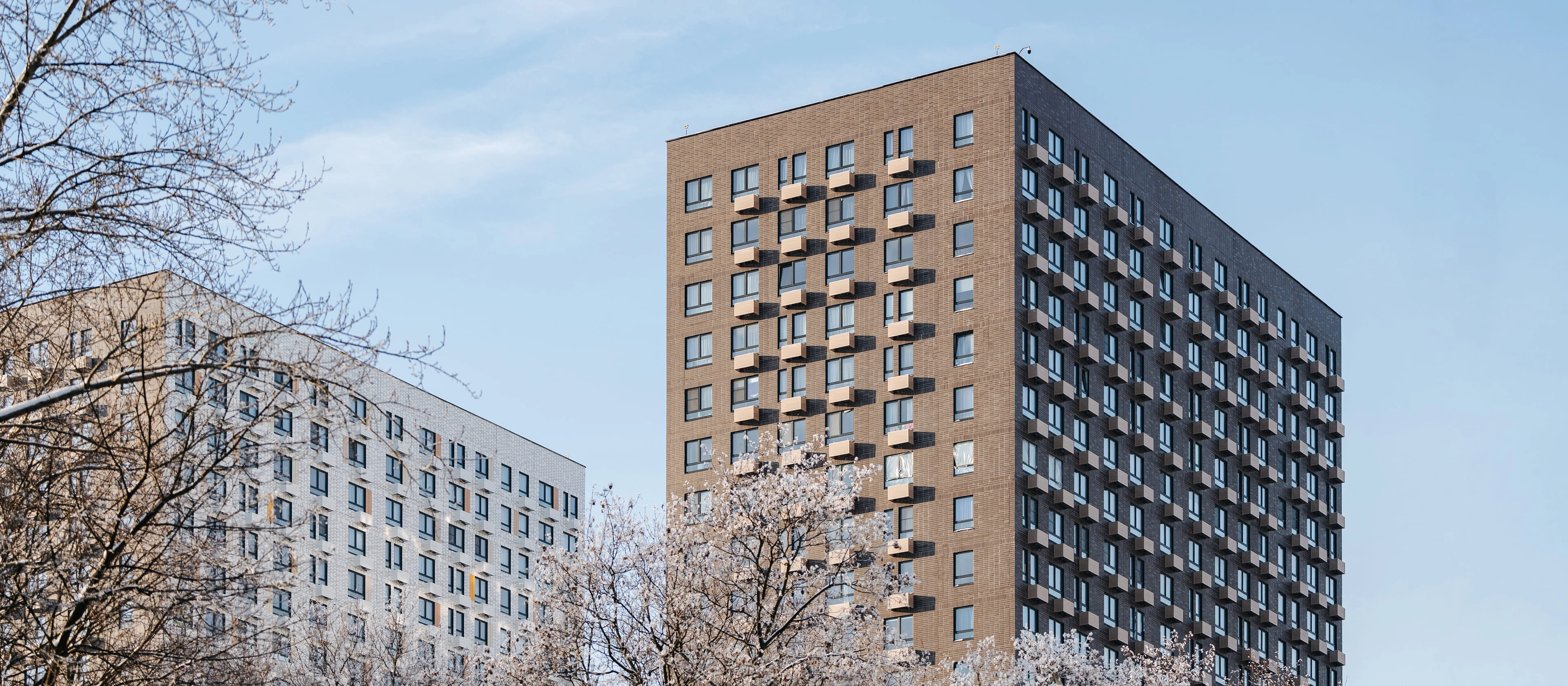 ЖК Томилинский бульвар - изображение 2